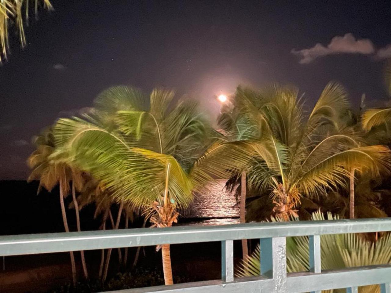 Beachfront Luxury 2 Bedroom At Wyndham Rio Mar, Pr Luquillo Exterior foto