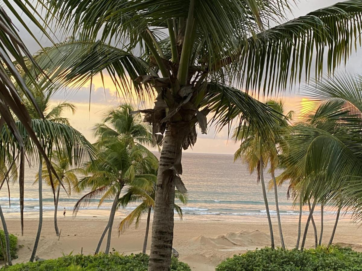Beachfront Luxury 2 Bedroom At Wyndham Rio Mar, Pr Luquillo Exterior foto